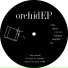 orchid81
