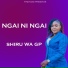 Shiru Wa Gp