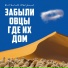 Виталий Соляник