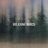 Calm Music