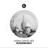 Animal Swing Kids