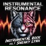Instrumental Resonance