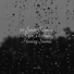 Rain Forest FX, Calming Sounds, Guided Meditation
