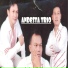 Andesta Trio