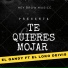 El Gandy feat. El Loko Deivis