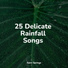 Sons da Natureza Relax, Rainy Sounds, Zarobi