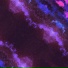Bam Spacey