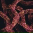 05n