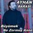 ayhan barasi