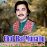 Shoaib Ahmad Shebi
