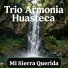 Trio Armonia Huasteca