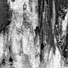 Caleb J. Murphy