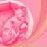 Кошачья музыка люкс