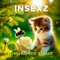 INSEXZ