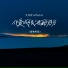 大头针official