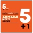 Zenzile, Jay Ree