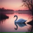 Dima Diman