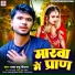 Bachcha Babu Diwana