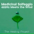 The Healing Project