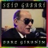 Seid Gabari
