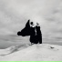 Alima Hamel, Vincent Ferrand
