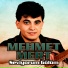 Mehmet Mert