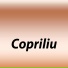 Copriliu