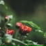 Dormir Mucho, Lluvia PQ, Mantra para Meditar