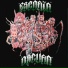 Rat Ascopata feat. Sapiens Suspectum, MalAire