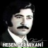 Hesen Germîyanî