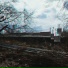 slxv