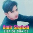 Amir Shabab
