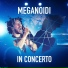 Meganoidi