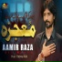 Aamir Raza Ali Waris