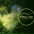 Mellow River