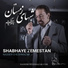 Nasser Cheshmazar