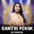Uci Farantika
