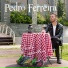Pedro Ferreira