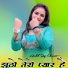 Aashik Raj Mewati, Dabangg Bisru