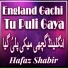 Hanif Sagar