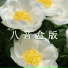 疗愈音律