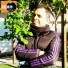 Saraylı Memocan