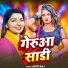 Aditi Raj