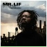 Mr. Lif