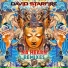 David Starfire