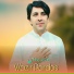 Wazir pardas