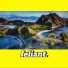 Feliant