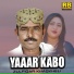 Zulfiqar Khaskheli