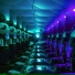 Lechuga Salvaje