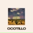 Ocotillo